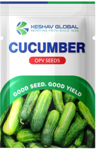 Cucumber OPV seeds